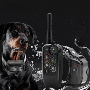 For 1 Dog Black