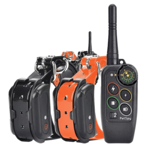 For2 Dogs Black & Orange