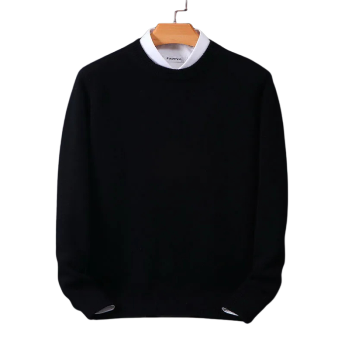 Daniel__Premium_cashmere_round_neck_sweater_1